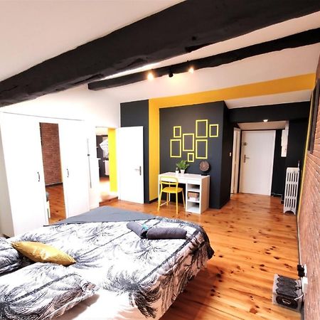 Ferienwohnung La Terrasse De Jeanne - Vue Magnifique - Netflix Toulouse Exterior foto